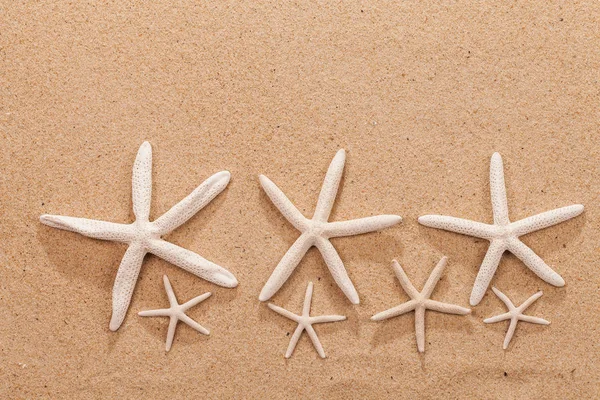 Sandstrandscene Sommerferien Med Sjøstjerner Sand Kopiplass – stockfoto