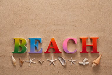 üstten görünüm renkli harflerle yazılmış Beach süslemeleri ile kopya alanı ile sahilde kabuklu deniz ürünleri