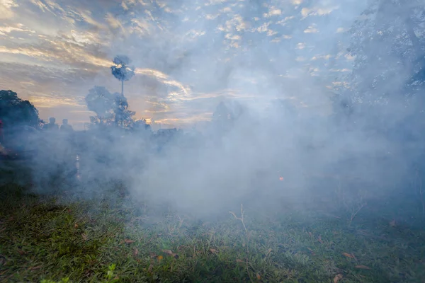 farmer burn fire to make smoke for protect his buffalo without insect eat blood