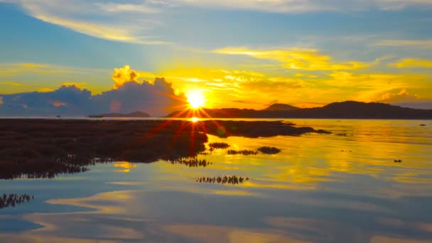 Landschaft Sonnenaufgang Über Dem Korallenriff Bei Ebbe Phuket Island Korallenriff — Stockvideo