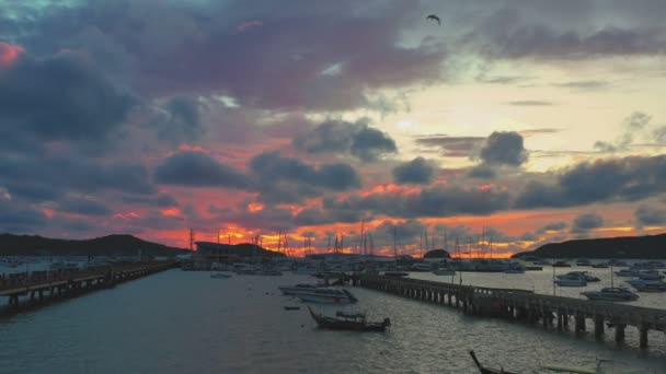 シャロン桟橋の上に赤い空 朝は美しい空の間にシャロン桟橋全体を鳥が飛ぶ — ストック動画