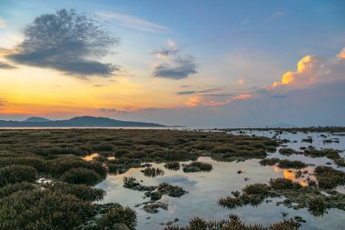 mercan resif üzerinde sahne gündoğumu. mercan kayalığı su azaltılmış su düzeyinde çıkar