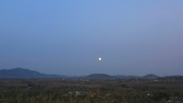 满月以上的椰子田 — 图库视频影像