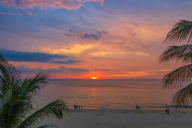 Hindistan cevizi ağaçları Karon Beach Phuket üzerinde güzel gün batımı