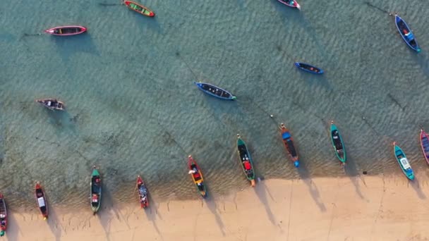 Aerial Top View Dog Tourists Beach Fishing Boats Rawai Beach — Stock Video