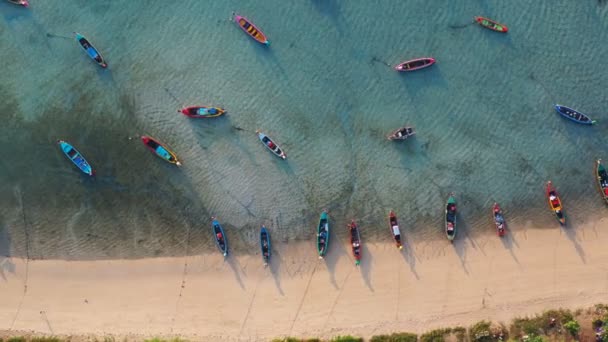 Vista Aérea Perro Turistas Playa Junto Los Barcos Pesca Playa — Vídeos de Stock