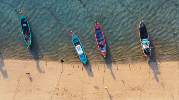 Vista Aérea Perro Turistas Playa Junto Los Barcos Pesca Playa — Vídeo de stock