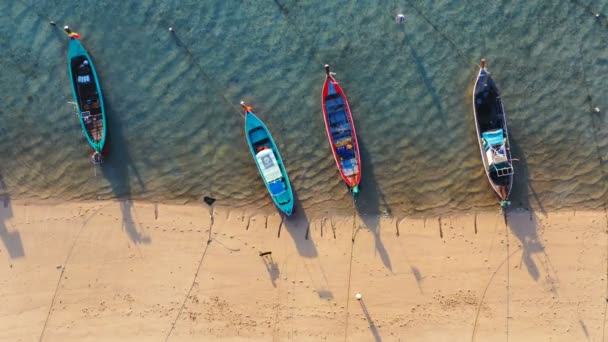 Вид Сверху Воздуха Собака Туристы Пляже Рядом Рыбацкими Лодками Пляже — стоковое видео
