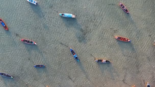 Légi Felülnézeti Egy Kutya Turisták Mellett Halászhajók Rawai Beach Phuket — Stock videók