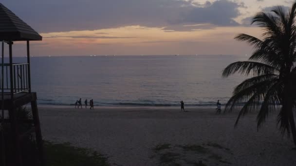 Sunset Guard Tower Coconut Tree — Stock Video