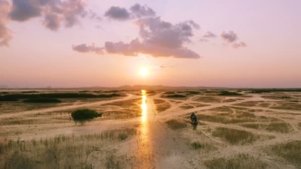 Areial Megtekintése Turisták Hajó Parkolási Lehetőség Hogy Szép Rózsaszín Virág — Stock videók