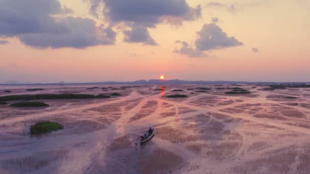 Areial Weergave Toeristen Boot Parkeren Zien Mooie Roze Bloem Kleverige — Stockvideo