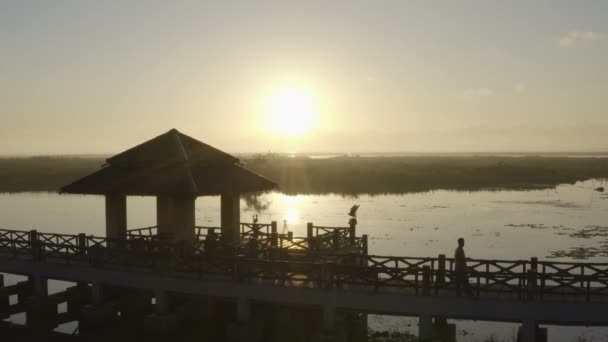 Luchtfoto Zonsopgang Thale Noi Kende Sanctuary Talay Noi Tweede Van — Stockvideo