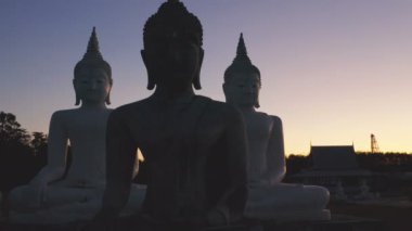 Tungsong Nakornsrithammarat Tayland 'daki büyük tarlada gün batımında birçok Buda heykeli
