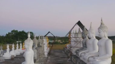 Tungsong Nakornsrithammarat Tayland 'daki büyük tarlada gün batımında birçok Buda heykeli