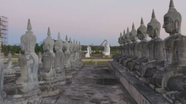 Tungsong Nakornsrithammarat Tayland 'daki büyük tarlada gün batımında birçok Buda heykeli