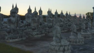 Tungsong Nakornsrithammarat Tayland 'daki büyük tarlada gün batımında birçok Buda heykeli