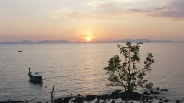 Vue Aérienne Coucher Soleil Sur Plage Kwang Krabi Vieil Arbre — Video