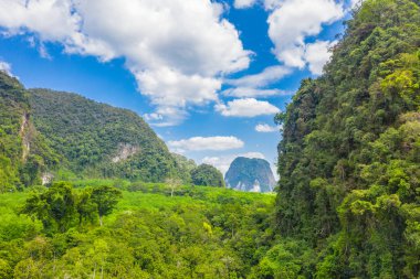 Tha Pom Klong şarkı Nam inanılmaz Krabi.Tha Pom bataklık orman orman zekâ doğamda