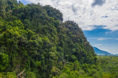 Tha Pom Klong şarkı Nam inanılmaz Krabi.Tha Pom bataklık orman orman zekâ doğamda