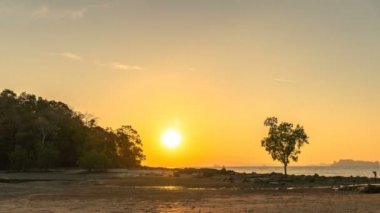Kwang beach Krabi Tayland yanındaki kayaya Kwang island.the yaşlı ağacın arkasında Timelapse günbatımı