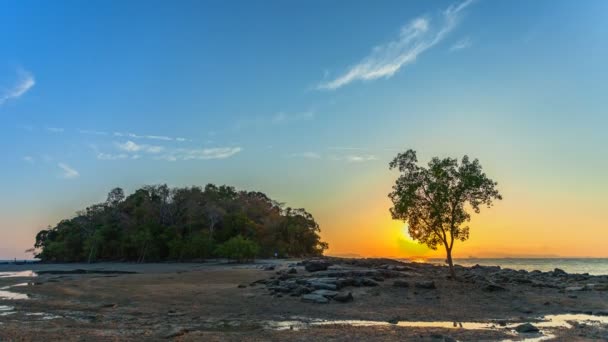 Island 古い木光ビーチ クラビ タイの横にある岩の上の後ろに微速度撮影日没 — ストック動画