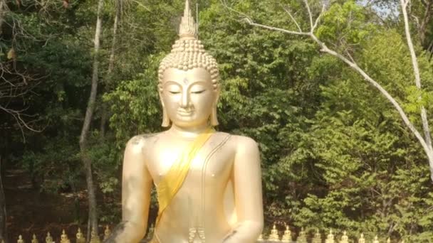 Luftaufnahme Goldene Buddha Statue Phayam Tempel Auf Dem Berg Phayam — Stockvideo