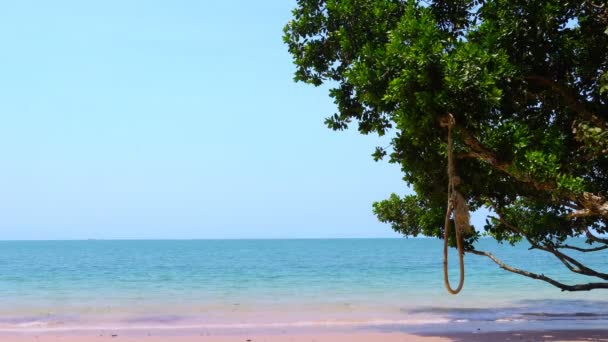 Oscilación Cuna Bajo Gran Árbol Playa Kwangpeeb Isla Phayam Ranong — Vídeo de stock