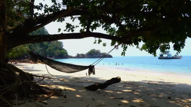 Cradle Swing Onder Grote Boom Kwangpeeb Beach Phayam Island Ranong — Stockvideo