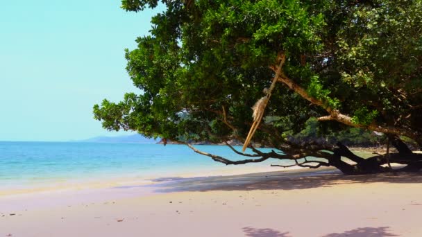 Колыбель Качели Большим Деревом Kwangpeeb Пляж Phayam Остров Ранонг Таиланд — стоковое видео