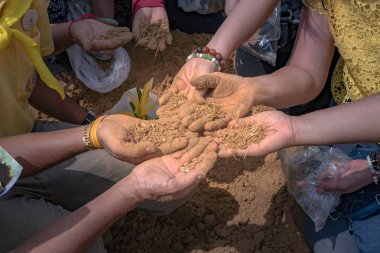 Tayland halkı ve çiftçiler Royal Ploughing Ceremony Da pirinç tohumu için arama