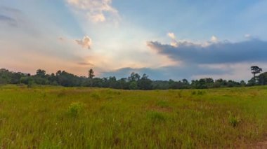 Khao Yai milli parkı büyük alanda zaman atlamalı gün batımı. çim alan Khao Yai geyik ve fil bir gıda alanıdır