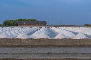 Denizin uçsuz bucaksız tuz tarlalarında beyaz tuz yığınları