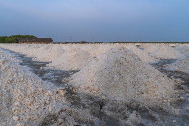 Denizin uçsuz bucaksız tuz tarlalarında beyaz tuz yığınları