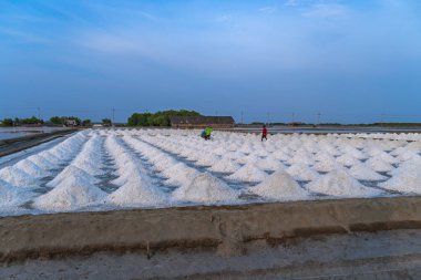 Denizin uçsuz bucaksız tuz tarlalarında beyaz tuz yığınları
