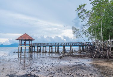 siyah kum plaj Trat eyaletinde Tayland sadece bir yerdir