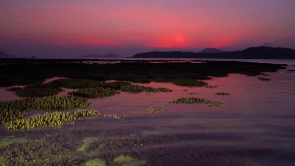 Время Восхода Солнца Над Коралловым Рифом Кораллы Появляются Над Водой — стоковое видео