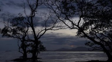 Phuket eyaletinde Mudong kanal alacakaranlık mangrov orman Tayland.