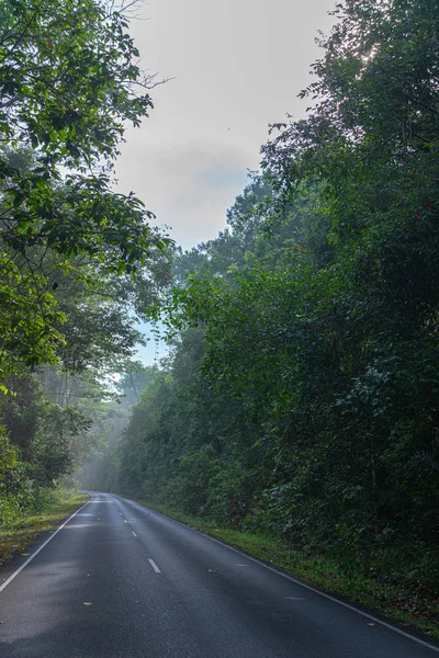 Curva Estrada Floresta Selvagem Parque Nacional Khao Yai Maior Floresta — Fotografia de Stock