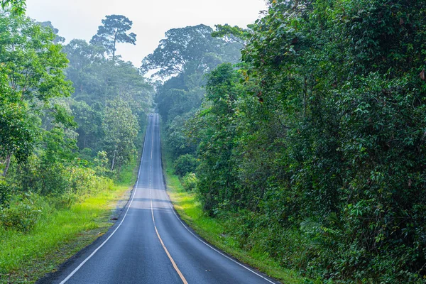 Kurvenstraße Wilden Wald Des Khao Yai Nationalparks Ist Der Größte — Stockfoto