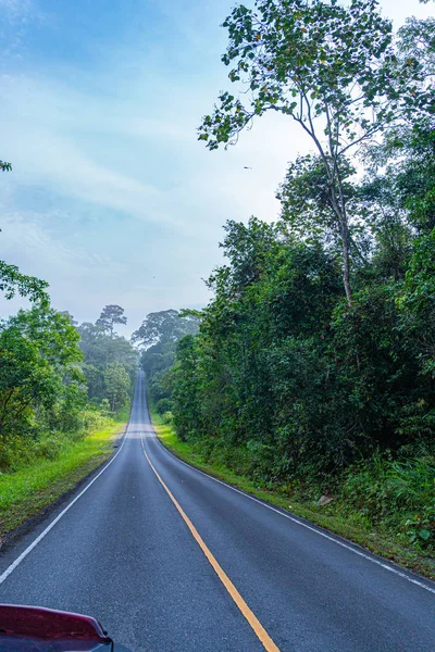 Curva Estrada Floresta Selvagem Parque Nacional Khao Yai Maior Floresta — Fotografia de Stock