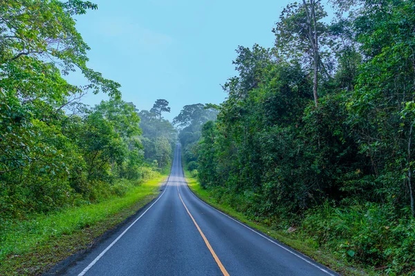 Courbe Route Dans Forêt Sauvage Parc National Khao Yai Est — Photo