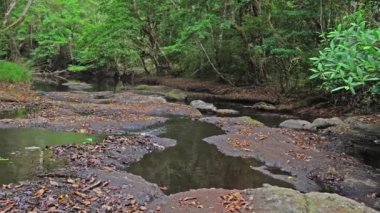 Lamtakong nehri, Khao Yai Milli Parkı'nda yer almaktadır. Tayland'ın en büyük yağmur ormanıdır. Birçok şelale var. . Çeşitli yaban hayatı ve bitki türleri vardır. ve birçok şelale var.