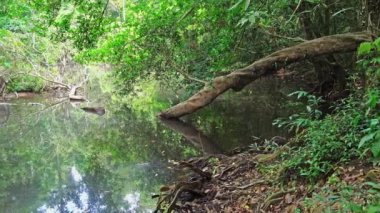 Lamtakong nehri, Khao Yai Milli Parkı'nda yer almaktadır. Tayland'ın en büyük yağmur ormanıdır. Birçok şelale var. Çeşitli yaban hayatı ve bitki türleri vardır. ve birçok şelale var.