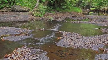 Lamtakong nehri, Khao Yai Milli Parkı'nda yer almaktadır. Tayland'ın en büyük yağmur ormanıdır. Birçok şelale var. . Çeşitli yaban hayatı ve bitki türleri vardır. ve birçok şelale var.