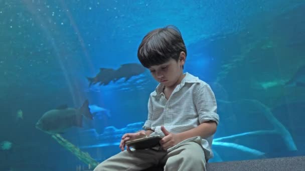 Jongen Spelen Mobiele Voor Vis Tank Aquarium — Stockvideo