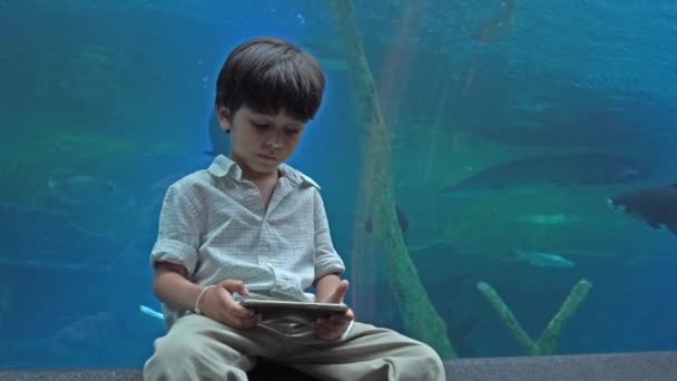 Boy Playing Mobile Front Fish Tank Aquarium — Stock Video