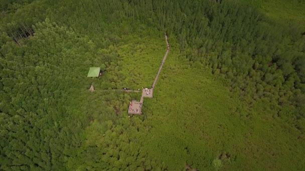 Eine Kleine Holzbrücke Die Den Aussichtspunkt Thung Pong Tanga Verbindet — Stockvideo