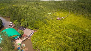 Thung Prong Thong içinde bakış açısını bağlayan küçük bir ahşap köprü, çam ağaçları ve mangrov ağaçları oluşan, büyük bir mangrov orman ve Rayong eyaletinin ünlü bir turistik olduğunu.