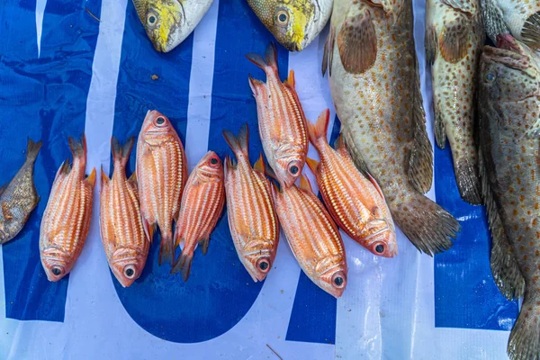 Způsob Života Rybářů Rybářských Člunů Pro Nakrmit Jejich Rodiny Mnoho — Stock fotografie